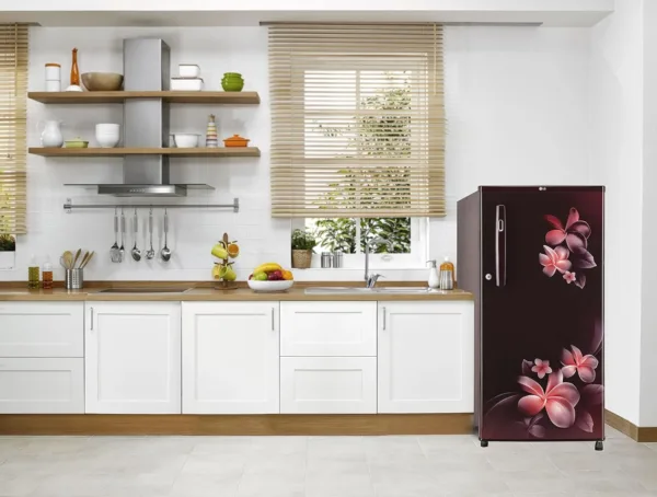 LG 215 L 2 Star Direct-Cool Single Door Refrigerator (GL-B221ASPD), Scarlet Plumeria,) - Image 4